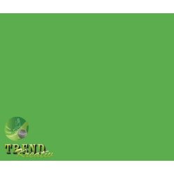   Színes lapok zöld intenzív KreatívTREND A/4 (210x297mm) 80g 10ív