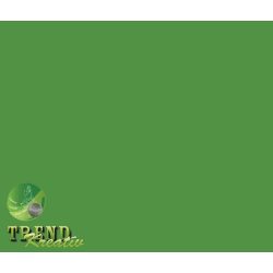   Színes lapok sötétzöld intenzív KreatívTREND A/4 (210x297mm) 80g 10ív